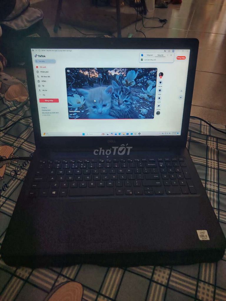 Dell Inspiron 15 i3 8GB/256GB. Mua bán Laptop tại Quận Tân Bình Tp Hồ Chí Minh được đăng bởi Cường  hình 1