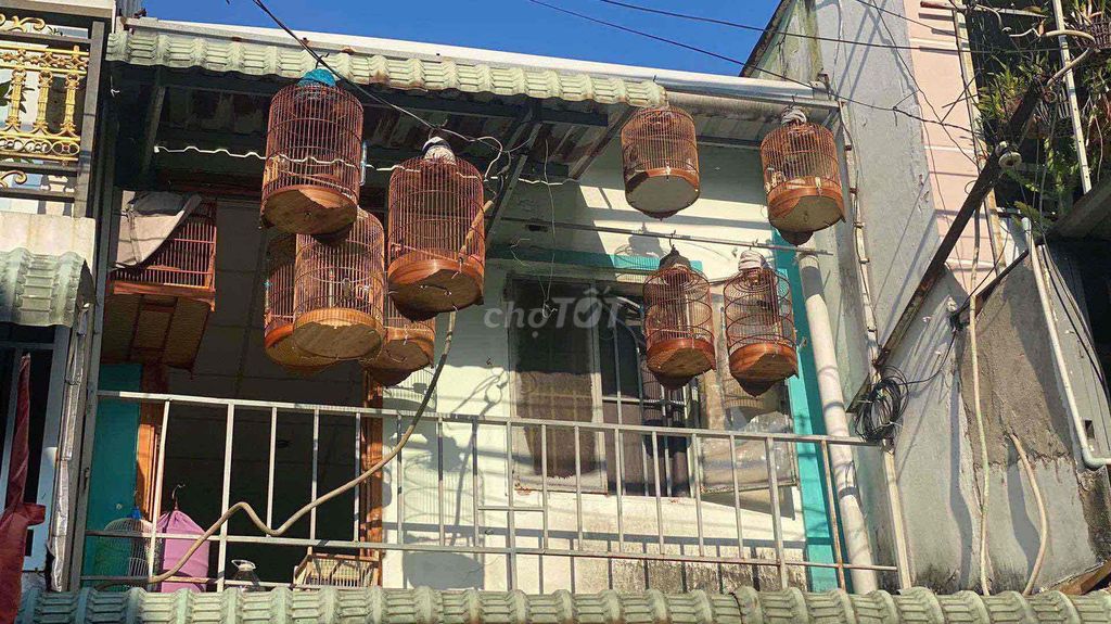 cần bay nhanh mấy bộ đất non tuyển