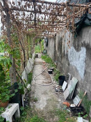 CẦN CHO THUÊ ĐẤT TÂN XUÂN 1