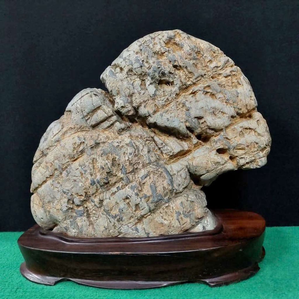 Đá cảnh hình voi đá suối tự nhiên. Mua bán Đồ sưu tầm, đồ cổ tại Quận Hai Bà Trưng Hà Nội được đăng bởi Trần Xuân Dương hình 1