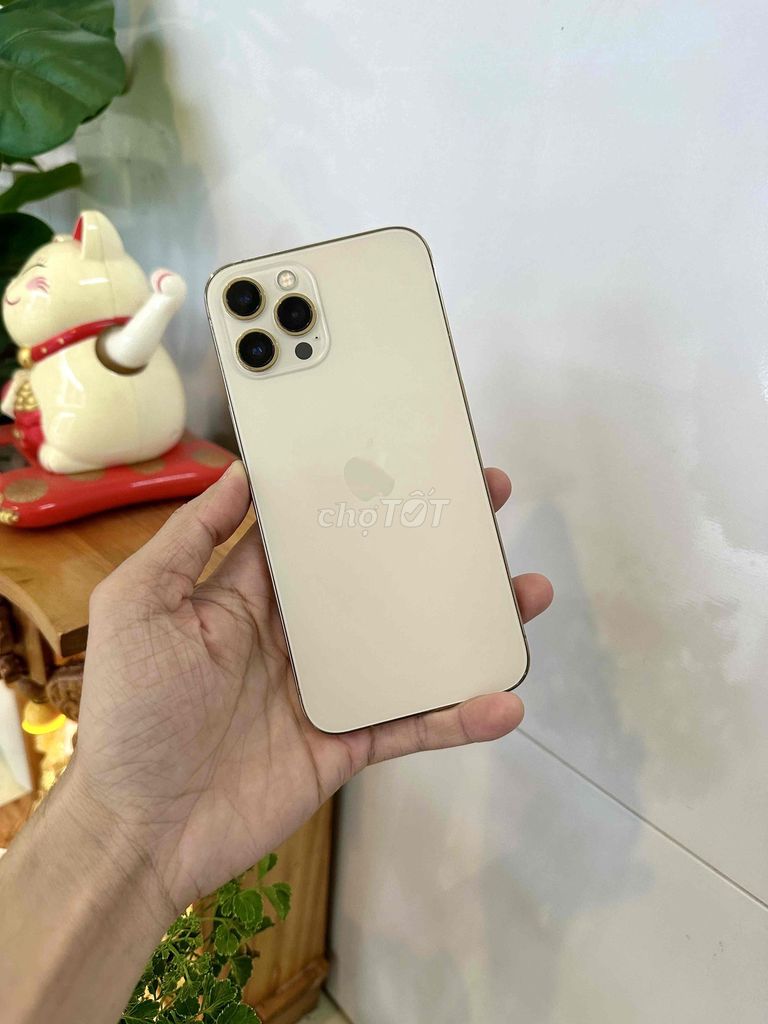 Apple iPhone 12 Pro Max 128GB Vàng Đẹp. Mua bán Điện thoại tại Thành phố Long Xuyên An Giang được đăng bởi phong LX  hình 1