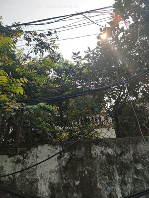 Mặt đường TL lộ 288 ô tô, kinh doanh Thái Sơn 90m, đất, mặt tiền 15m,. Mua bán đất tại Huyện Hiệp Hòa Bắc Giang được đăng bởi lê anh