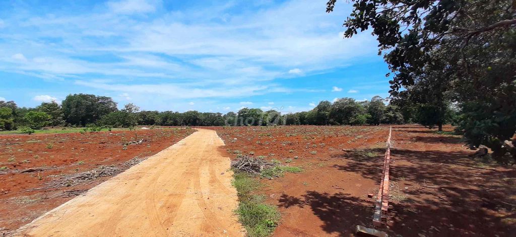 🔥Chú Ba Bán Lô Đất 1000m2 Cho Con Nước Ngoài