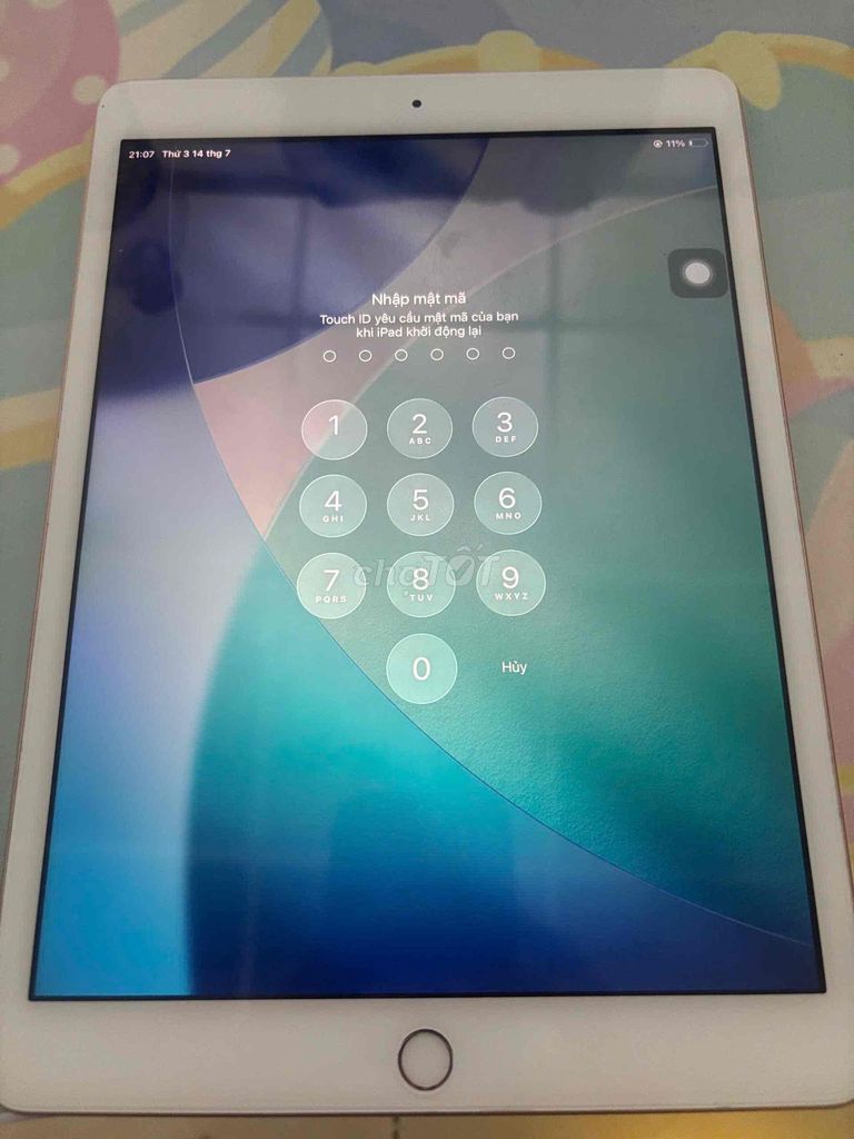 Apple iPad Gen 8 32GB Vàng 4G. Mua bán Máy tính bảng tại Quận Ninh Kiều Cần Thơ được đăng bởi Trần Mạnh Cường hình 1