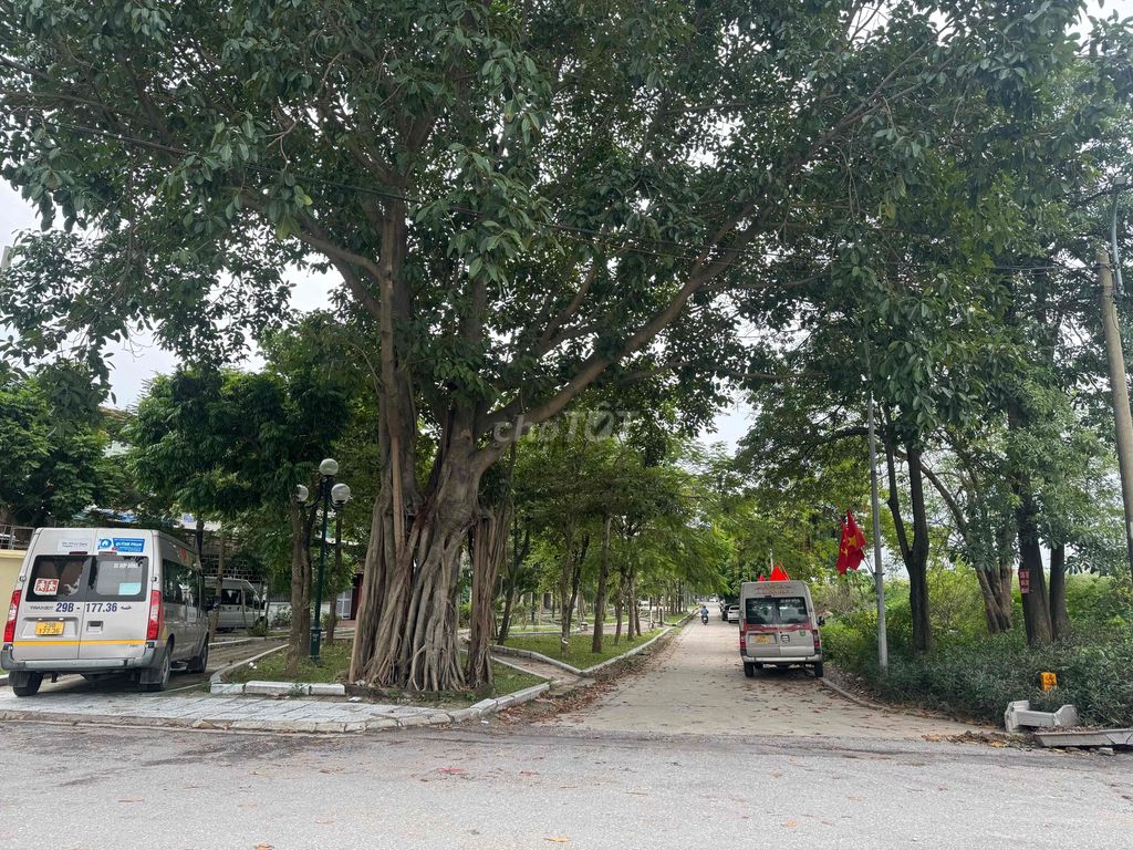 Bán đất Tình Quang – Giang Biên – Long Biên - ảnh 4