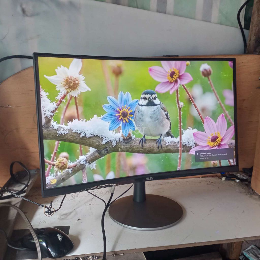 Màn hình MSI 24" cong 75hz 1400k