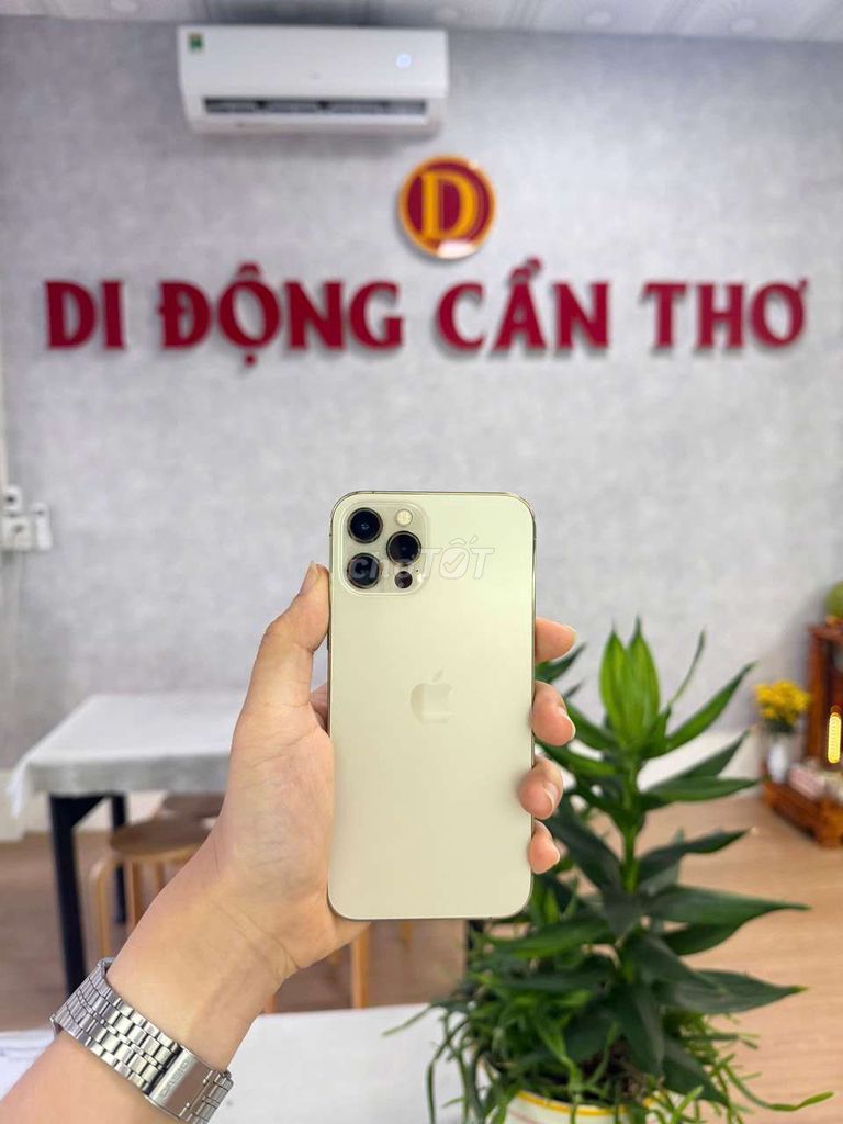 Apple iPhone 12 Pro 256GB Vàng. Mua bán Điện thoại tại Quận Ninh Kiều Cần Thơ được đăng bởi Di Động Cần Thơ hình 1