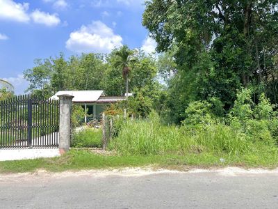 Bán lô đất Mặt tiền đường Cây Gõ,  313m2, full thổ cư, xã An Nhơn Tây.
