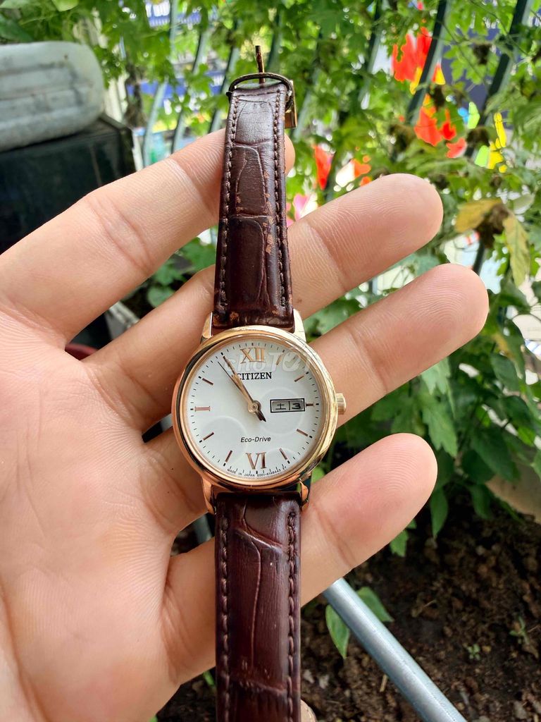 Đồng hồ Citizen Nữ EW3252-07A. Mua bán Đồng hồ tại Quận 3 Tp Hồ Chí Minh được đăng bởi HT đức hình 1