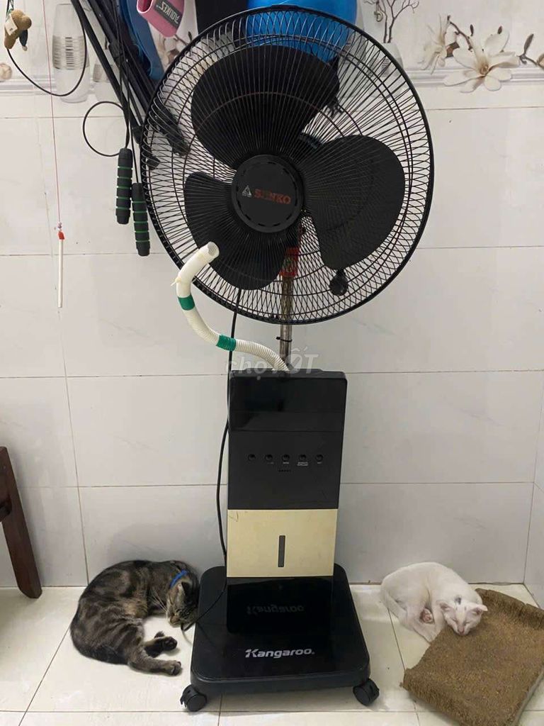 Quạt phun sương Senko 60W điều khiển. Mua bán Quạt tại Thành phố Dĩ An Bình Dương được đăng bởi Kha  hình 1