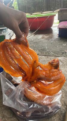 khô cá lóc 1-2-3 nắng  cá diêu hồng. Mua bán Đồ ăn, thực phẩm và các loại khác tại Huyện Định Quán Đồng Nai được đăng bởi Huynh Huyhoang