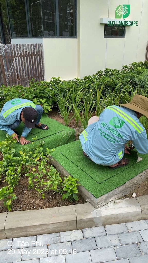 Tổng kho cỏ nhân tạo thảm nĩ giá gốc. Mua bán Cây cảnh, đồ trang trí tại Quận Tân Bình Tp Hồ Chí Minh được đăng bởi CO NHAN TAO MIEN NAM hình 1