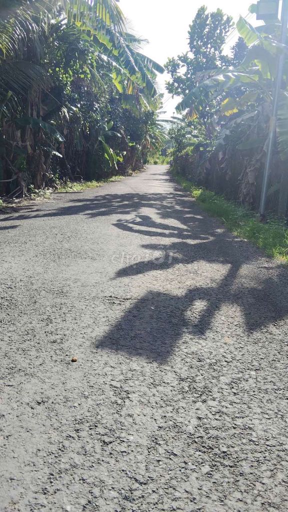 Cần bán đất Vĩnh Long