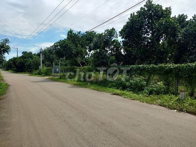 Bán lô đất 2400m2 giá 1 tỷ 50 triệu ở Minh Hòa DẦU TIẾNG GẦN DT744. Mua bán đất tại Huyện Dầu Tiếng Bình Dương được đăng bởi tuấn hình 2