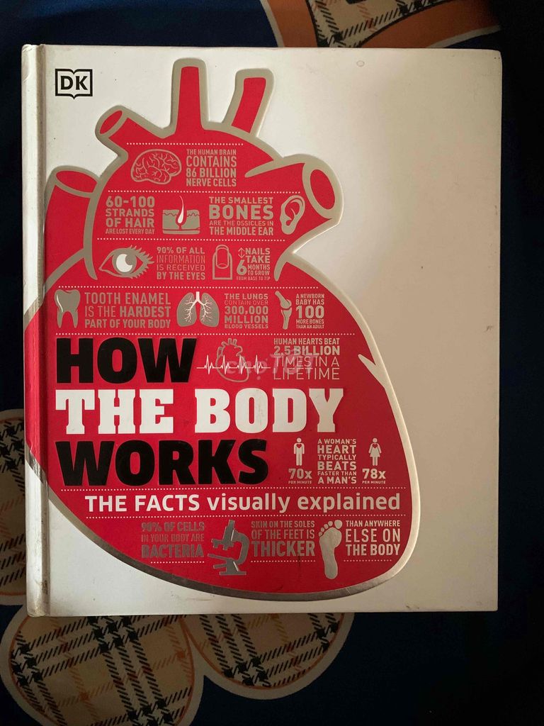 How the body works (bản tiếng anh)