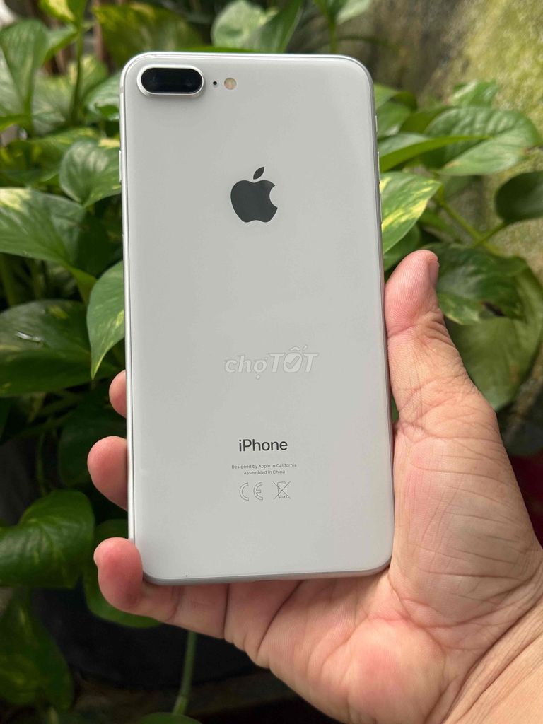 Apple iPhone 8 Plus 64GB Trắng. Mua bán Điện thoại tại Huyện Hóc Môn Tp Hồ Chí Minh được đăng bởi Sonle hình 1