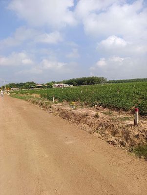 đất giá rẻ TP HCM