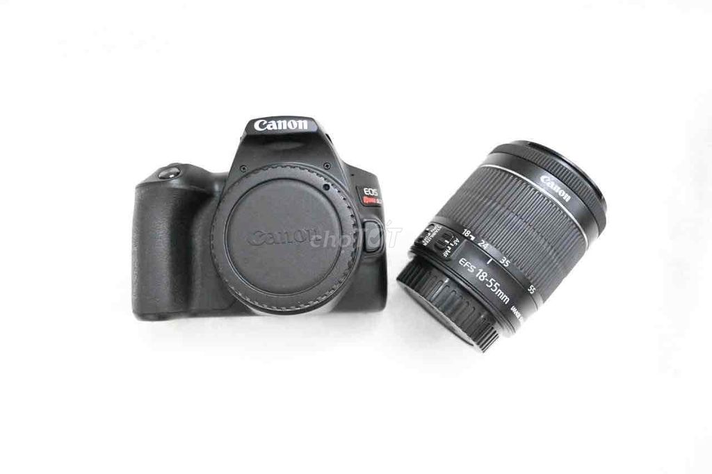 Canon 250D vs 18 55 stm đẹp đẽ 4K shot đủ pk zin