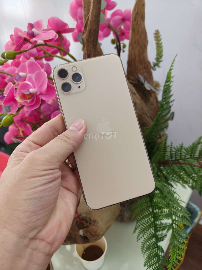 iPhone 11 Pro Max 256GB Vàng quốc tế. Mua bán Điện thoại tại Thành phố Buôn Ma Thuột Đắk Lắk được đăng bởi Tèo Điện Thoại  hình 1