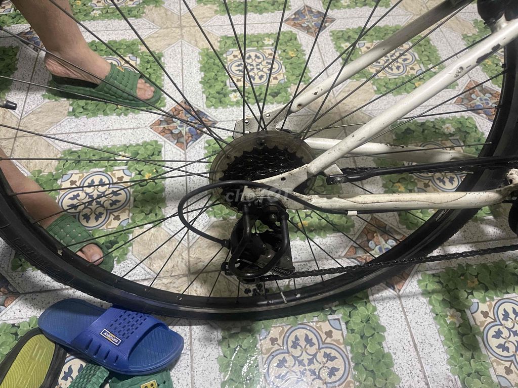 Xe Đạp Thể thao nước Ngoài. Mua bán Xe đạp tại Quận Dương Kinh Hải Phòng được đăng bởi Minh Quân hình 5