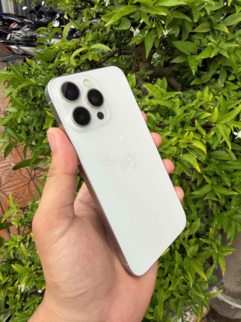 IP 15 PM 256GB Bạc VN/A Zin ốc - Đẹp Keng. Mua bán Điện thoại tại Quận Ninh Kiều Cần Thơ được đăng bởi Nguyễn Phước Bình hình 1
