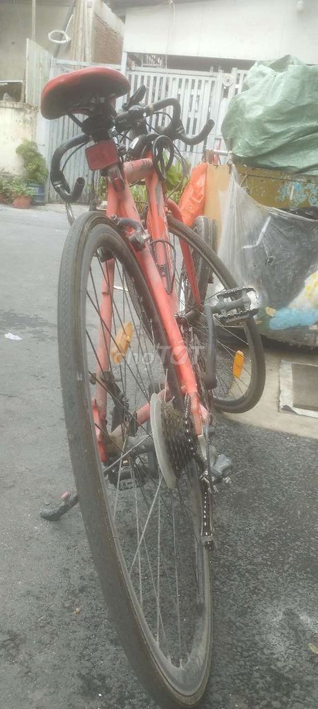 Xe đạp thể thao Phoenix Gravel Hợp kim nhôm. Mua bán Xe đạp tại Quận Tân Bình Tp Hồ Chí Minh được đăng bởi Lê Viết Hoà hình 7