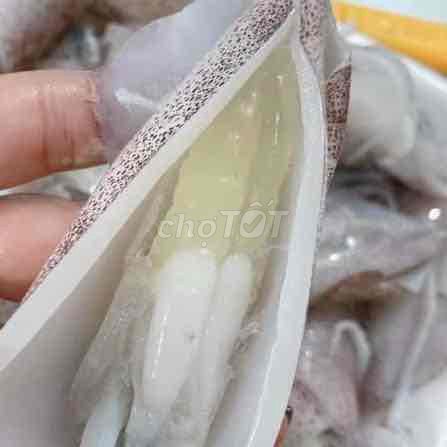 Mực trứng Cà Mau 15-20 con/kg. Mua bán Đồ ăn, thực phẩm và các loại khác tại Quận 7 Tp Hồ Chí Minh được đăng bởi Den hình 1