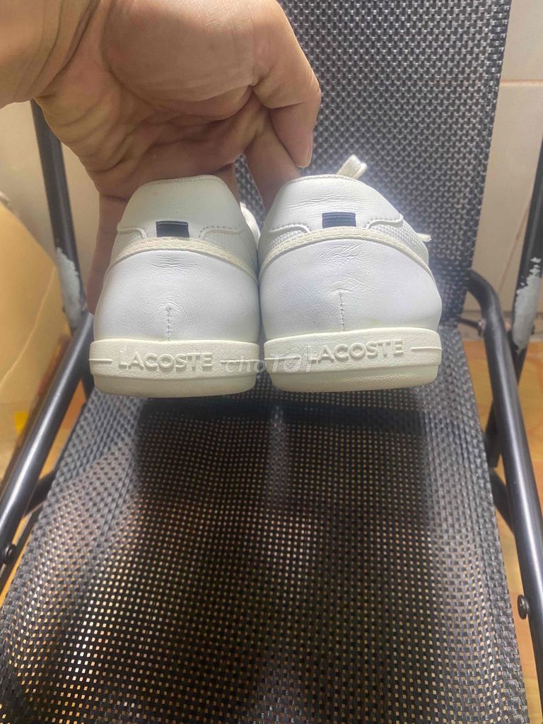 Lacoste, made in VN, size 43 42 vừa