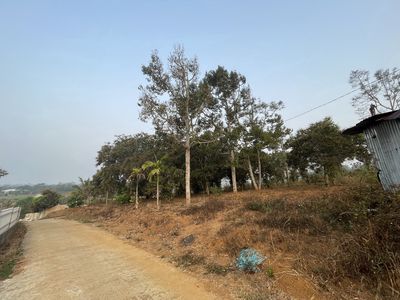 Đất nông nghiệp, thổ cư. Diện tích 1,5 hecta. TP Gia Nghĩa, Đắk Nông.. Mua bán đất tại Thành phố Gia Nghĩa Đắk Nông được đăng bởi Vũ Dương
