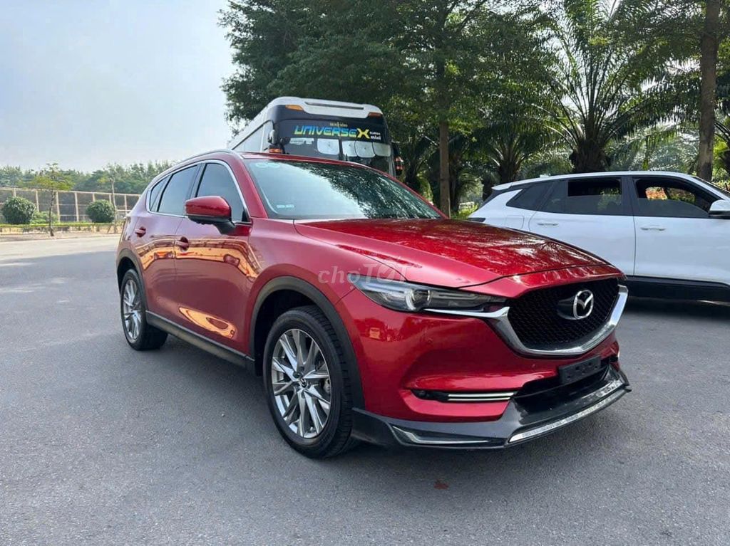 Ảnh số 6