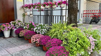 Nhà Phố mặt tiền Nguyễn Văn Linh đối diện trường RMIT