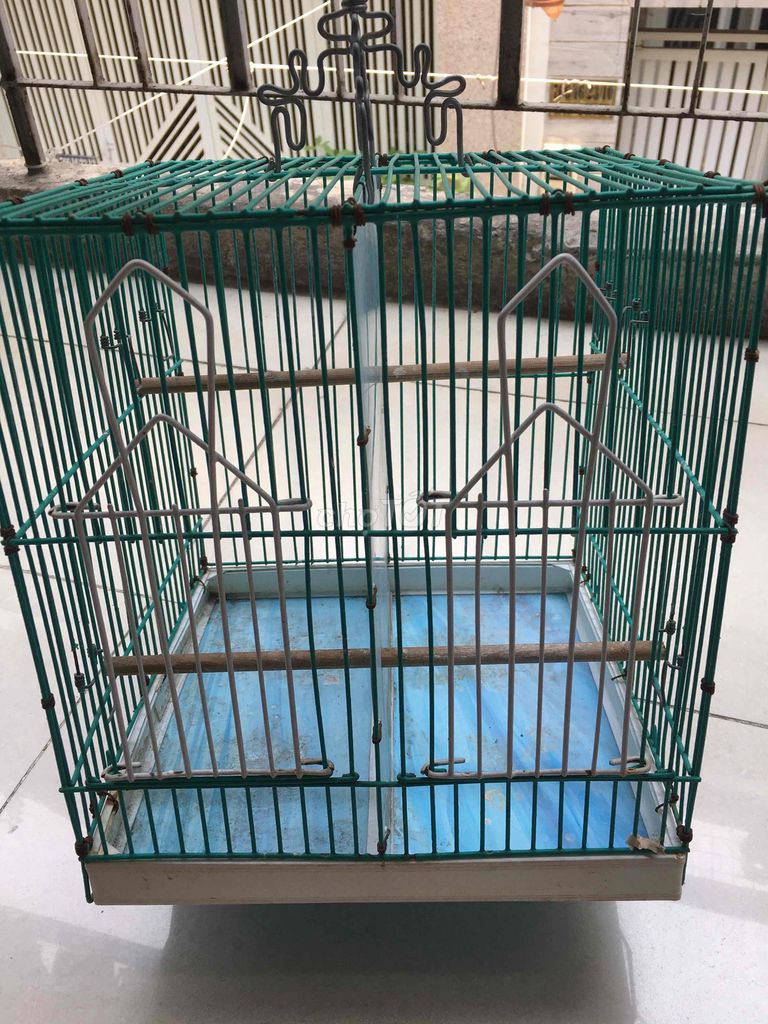 Lồng chim kim loại màu xanh lá mới. Mua bán Phụ kiện, Thức ăn, Dịch vụ tại Quận Tân Bình Tp Hồ Chí Minh được đăng bởi Huy hình 1