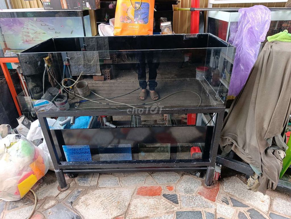 Hồ cá kính 10 li 130x50x40cm . Mua bán Phụ kiện, Thức ăn, Dịch vụ tại Thị xã Phú Mỹ Bà Rịa - Vũng Tàu được đăng bởi Pets  hình 1