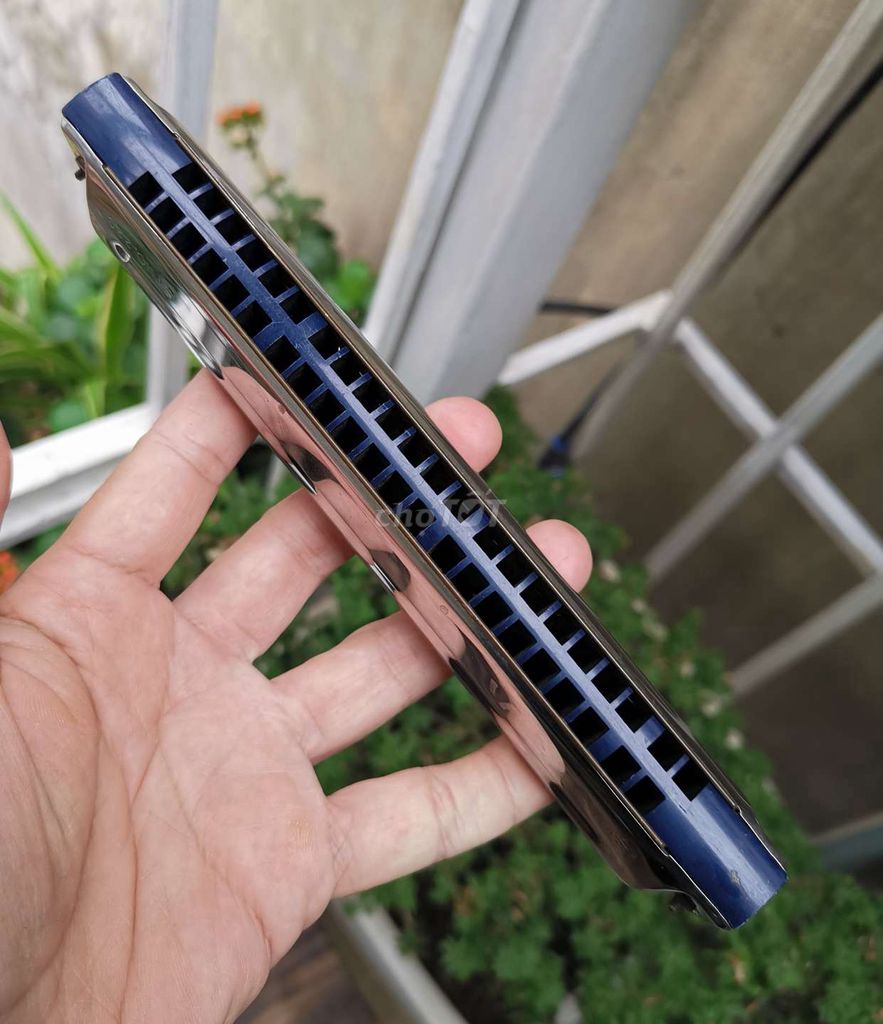 Kèn harmonica Yamaha STNO220 Nhật xịn