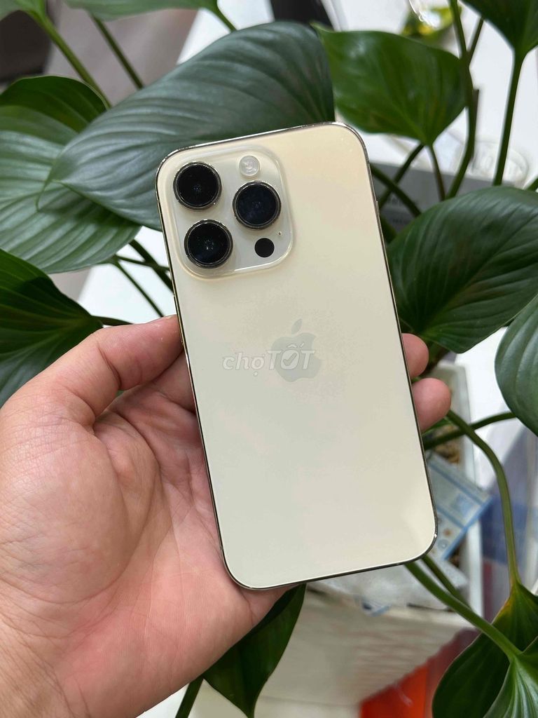 14 Pro 128GB Gold VN Pin New 100 chip A16 màn 120h. Mua bán Điện thoại tại Quận Ninh Kiều Cần Thơ được đăng bởi Quý Mobile Cần thơ hình 1