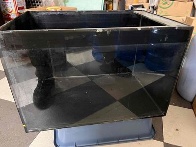 Hồ cá kính decal đen 60x40x40cm.. Mua bán Phụ kiện, Thức ăn, Dịch vụ tại Quận 1 Tp Hồ Chí Minh được đăng bởi MINH ĐĂNG  hình 1