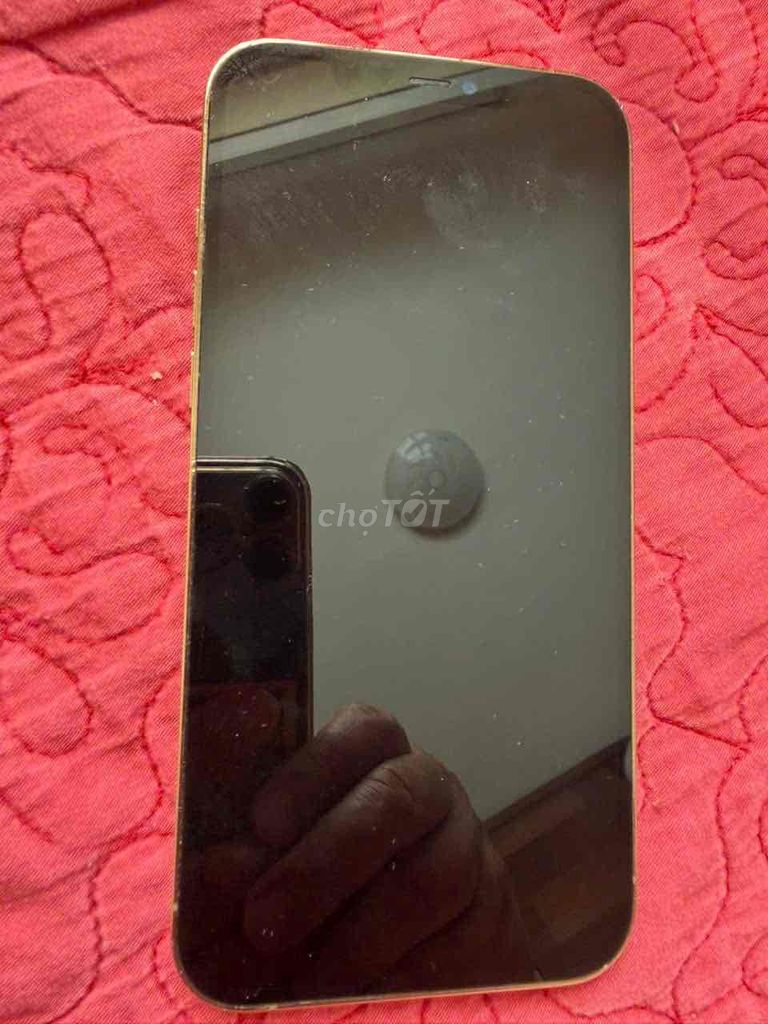 Apple iPhone 12 Pro Max 256GB Vàng Đã thay màn. Mua bán Điện thoại tại Quận Hoàn Kiếm Hà Nội được đăng bởi Đức Hoàn hình 1