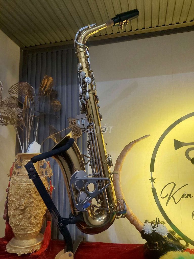 Bán kèn Saxophone 🎷 king