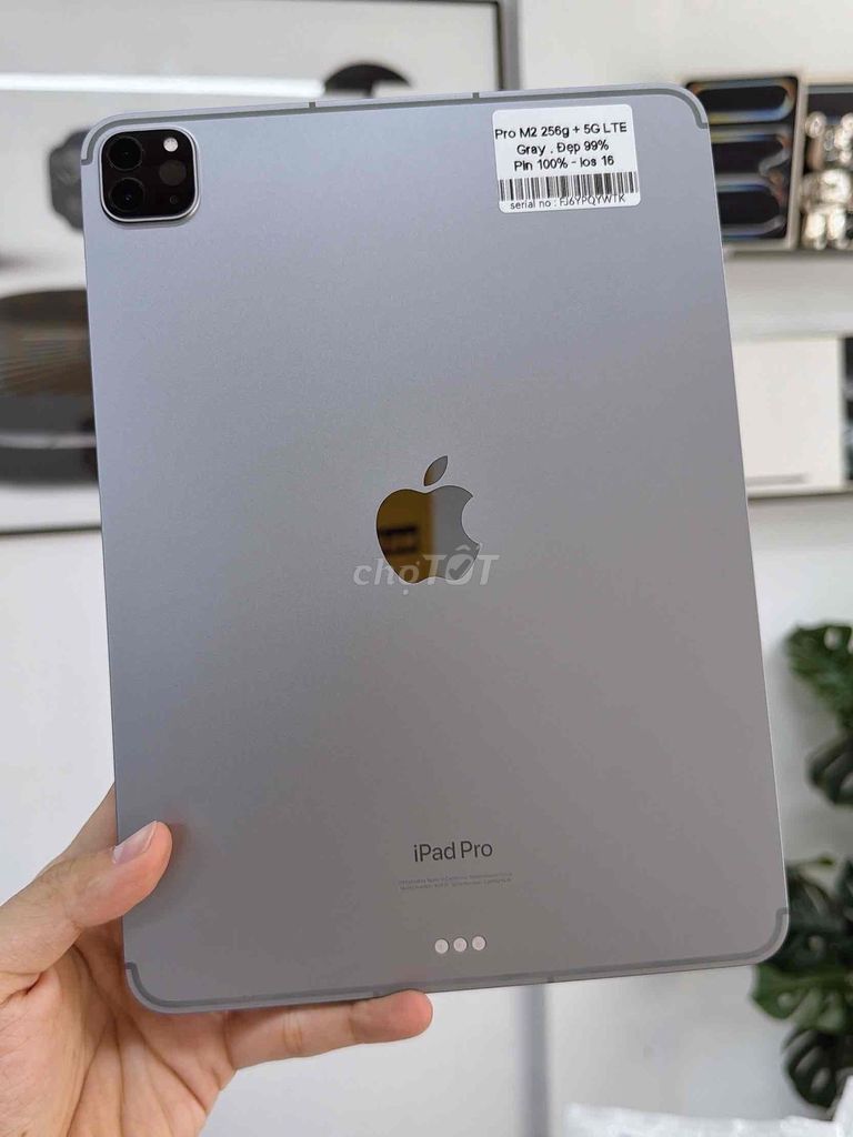 Apple iPad Pro M2 Wifi + 5G LTE 256GB Xám Pin 100%. Mua bán Máy tính bảng tại Quận 10 Tp Hồ Chí Minh được đăng bởi Táo Tốt Apple  hình 1