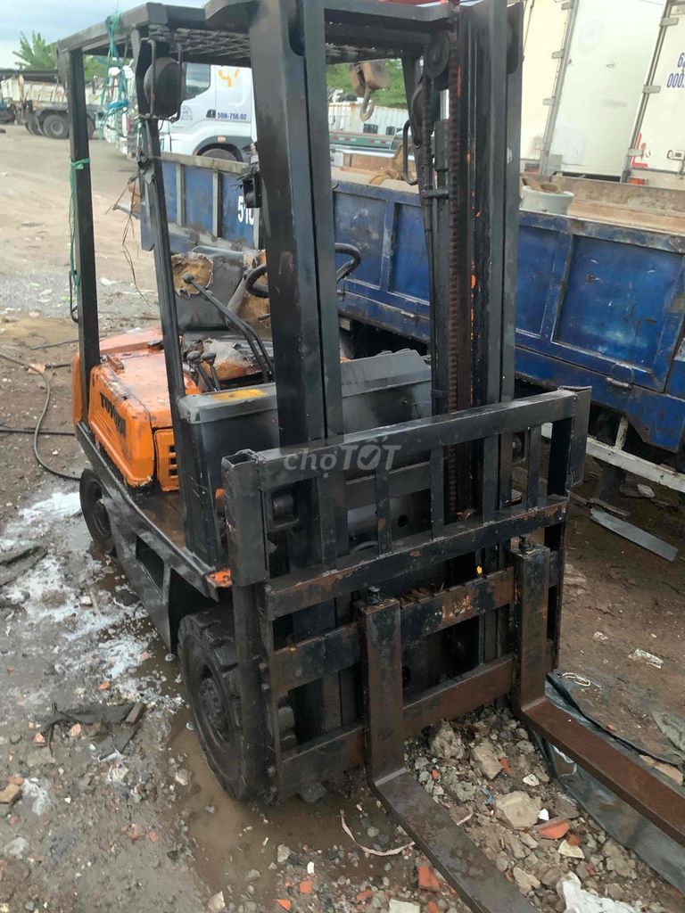 Ảnh số 6