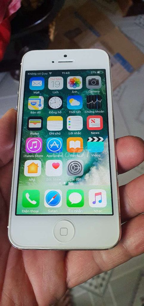 Apple iPhone 5 Trắng Nhật. Mua bán Điện thoại tại Quận Liên Chiểu Đà Nẵng được đăng bởi CHUyÊN HÀNG  NHẬT BÃI CÁC lOẠI  hình 1