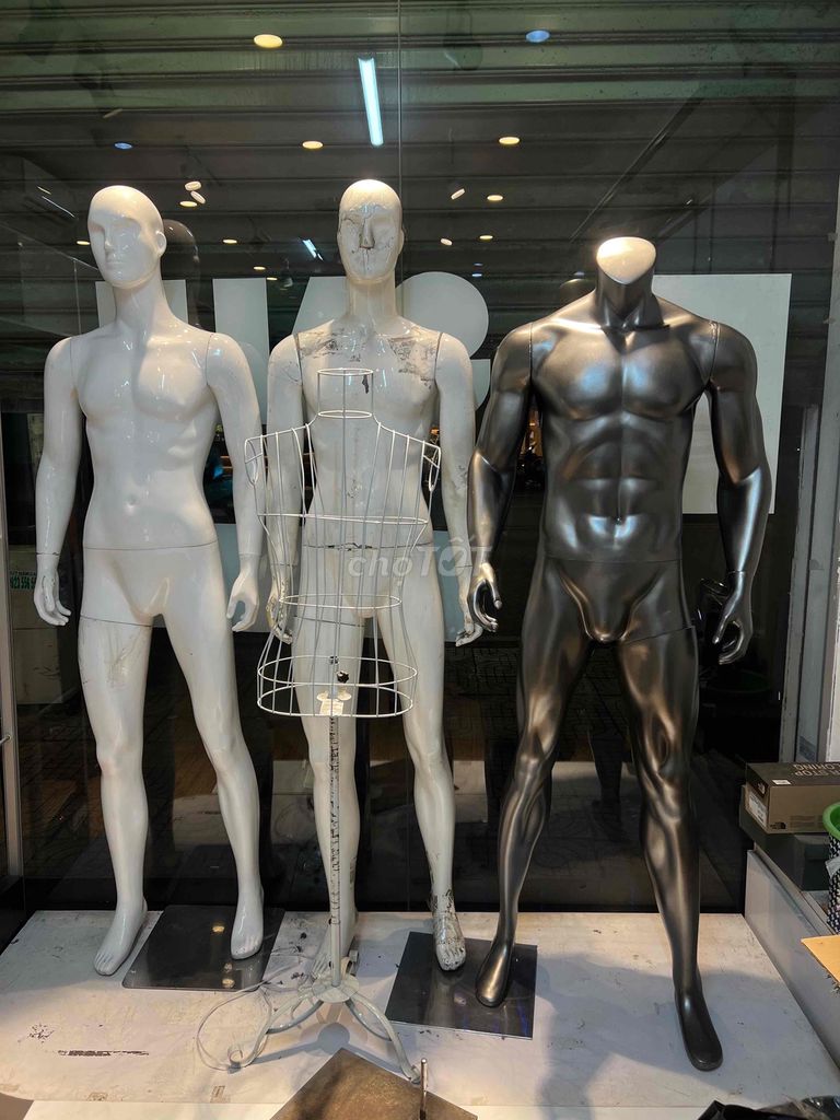 thanh lý 4 manocanh 700k/4con. Mua bán Đồ chuyên dụng, Giống nuôi trồng tại Quận 3 Tp Hồ Chí Minh được đăng bởi Nhơn hình 1