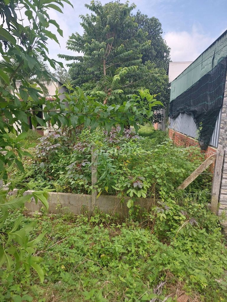 Cần bán đất chính chủ 2 Mặt Tiền 240m2 Đỗ Đăng Tuyển Củ Chi