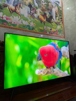 tivi 50in samsung Qled. Mua bán Tivi, Âm thanh tại Thành phố Vũng Tàu Bà Rịa - Vũng Tàu được đăng bởi MÁY CHIẾU VŨNG TÀU