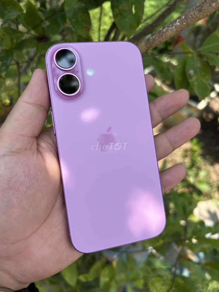 Apple iPhone 16 Hồng 256G Máy QT Full Zin. Mua bán Điện thoại tại Quận Ninh Kiều Cần Thơ được đăng bởi Công Hiếu hình 1