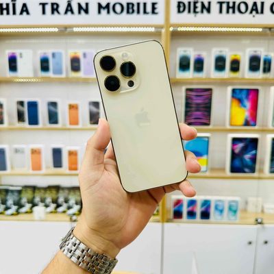 (HIẾM)🍎14 PRO GOLD 256GB QTẾ MỸ ĐẸP 99% PIN100%. Mua bán Điện thoại tại Quận Ninh Kiều Cần Thơ được đăng bởi Nghĩa Trần Mobile