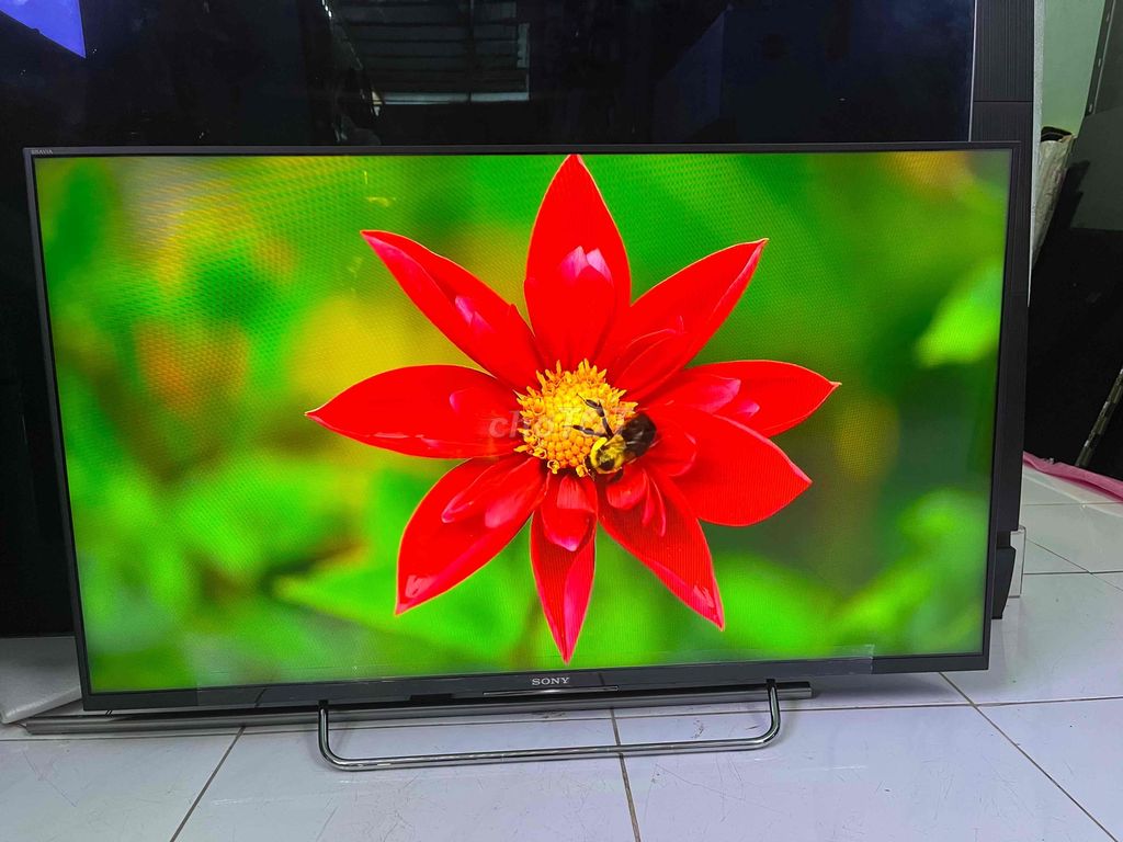 sony 43 in giọng nói, ảnh đẹp. Mua bán Tivi, Âm thanh tại Thành phố Thủ Đức Tp Hồ Chí Minh được đăng bởi Điện Tử Thành hình 6