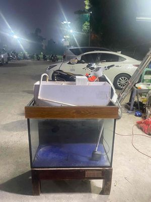 thanh lý nhanh bể cá. Mua bán Phụ kiện, Thức ăn, Dịch vụ tại Quận Hoàng Mai Hà Nội được đăng bởi Long