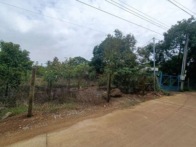 Bán gấp 3000m2 vườn trái cây giá 160đ. Mua bán đất tại Thành phố Dĩ An Bình Dương được đăng bởi BồCôngAnh