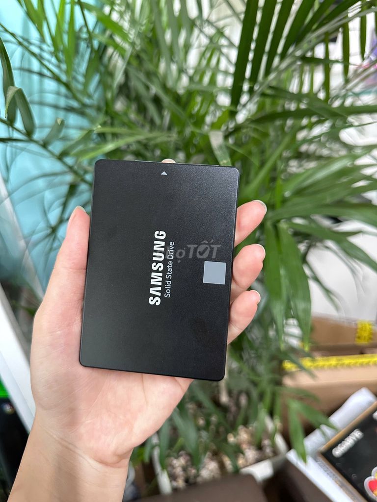 Ổ cứng SSD Samsung 850 Evo 250GB SATA3 Đã sử dụng. Mua bán Linh kiện (RAM, Card...) tại Quận Gò Vấp Tp Hồ Chí Minh được đăng bởi Thương hình 1